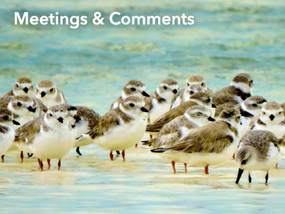 Meetings, Events, Public Hearings & Comment