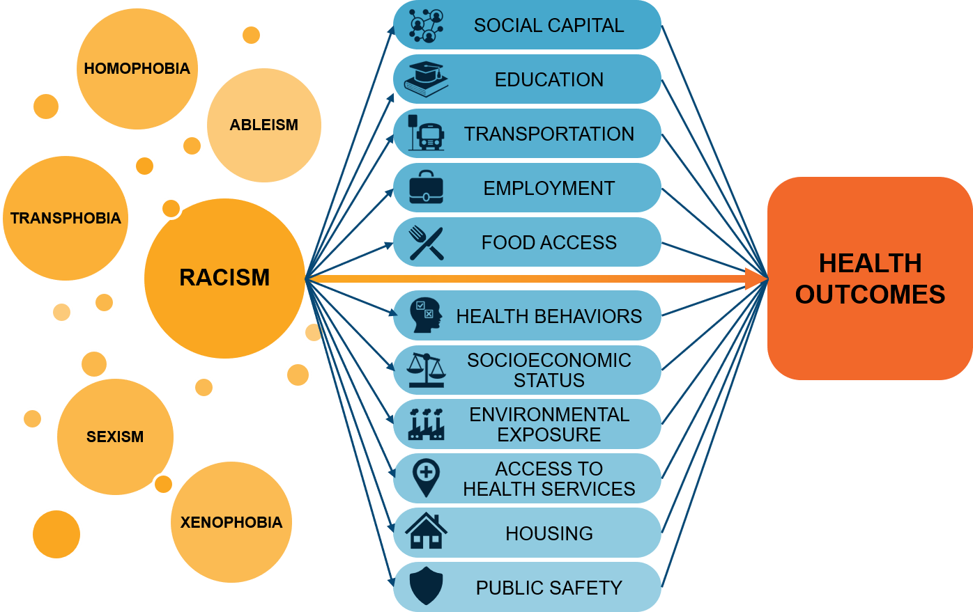 Racism impacts social capital, education, transportation, employment, food access, health behaviors, socioeconomic status, environmental exposure, access to health services, housing, and public safety. All of these impact health outcomes.