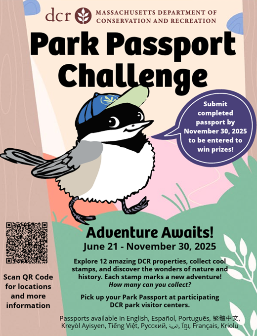 passport flyer
