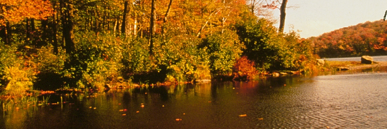 Savoy Mountain State Forest Mass Gov