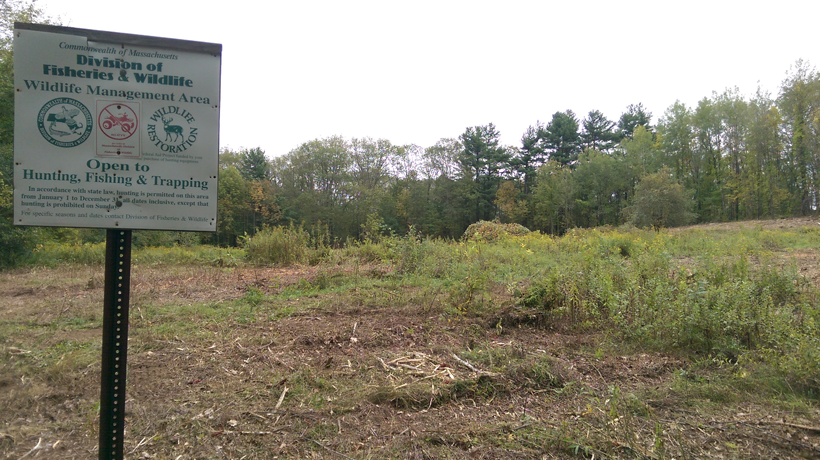 Moose Brook Wildlife Management Area