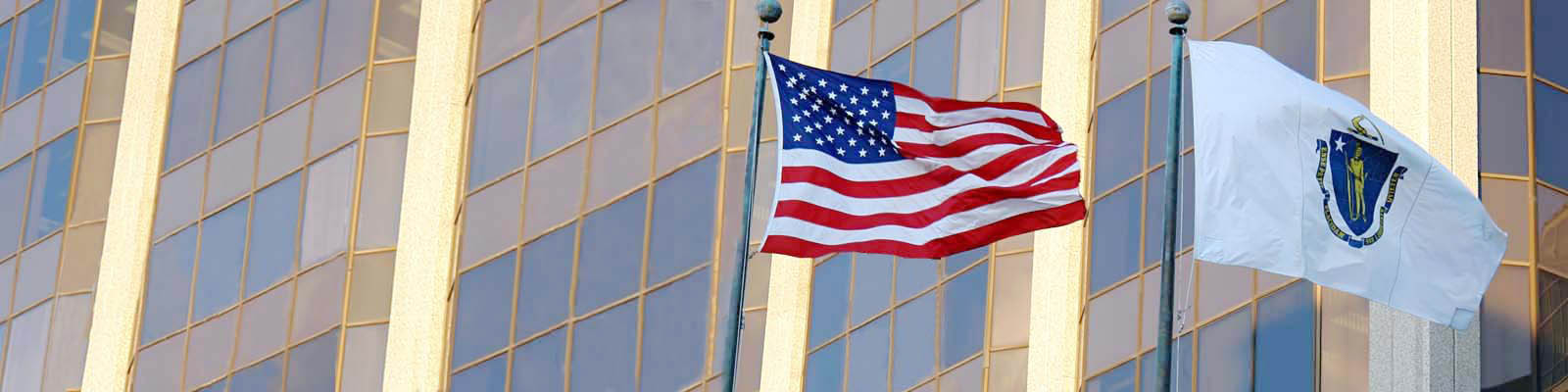 American and State Flag