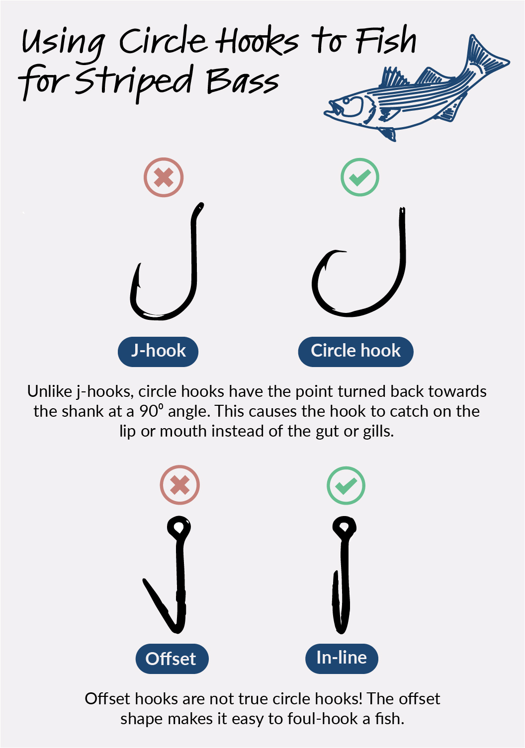 using circle hooks to fish for striped bass