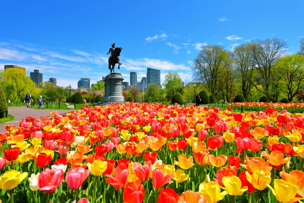 George Washington statue at Boston Common in spring