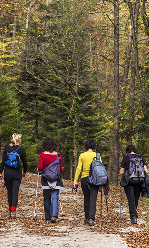 self guided opportunities