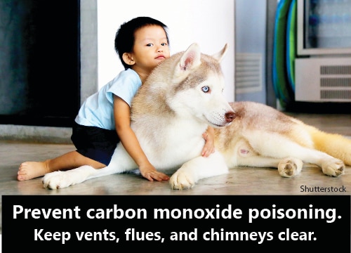 Boy with dog and the text, Prevent carbon monoxide poisoning. Keep vents, flues, and chimneys clear.