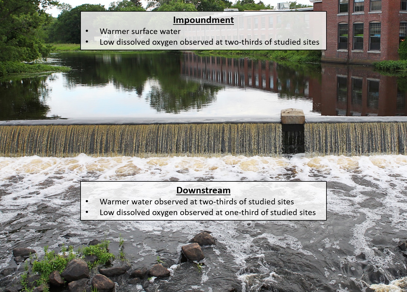 A photo of water flowing over a dam with text "Impoundment: warmer surface water, low dissolved oxygen observed at two-thirds of studied sites" above the dam and the text "downstream: warmer water observed at tow/thirds of studied sites, low dissolved oxygen observed at one-third of studied sites" below the dam.