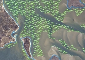 sample of eelgrass map