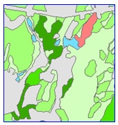 sample of prime forest map
