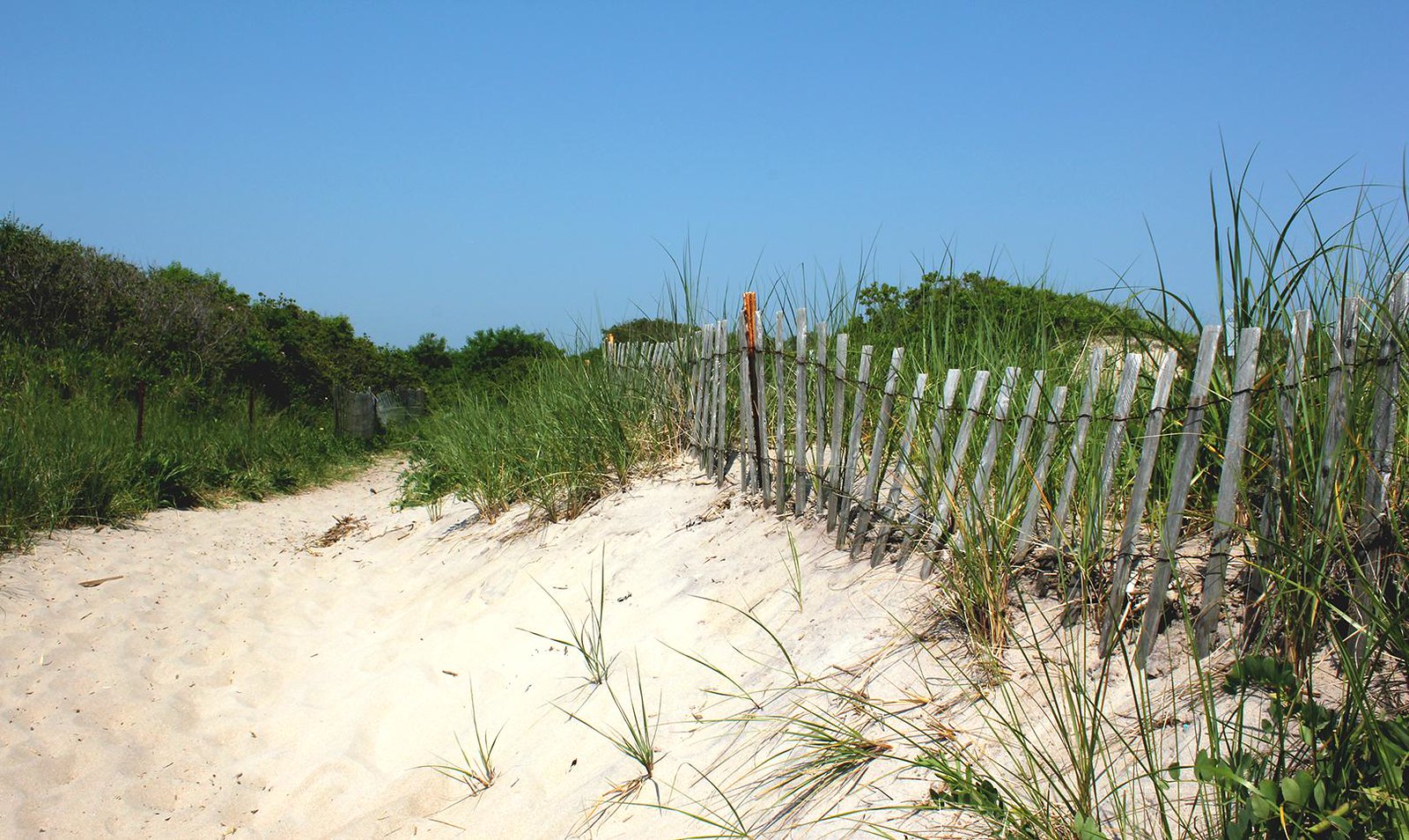 stick to dune paths to prevent erosion