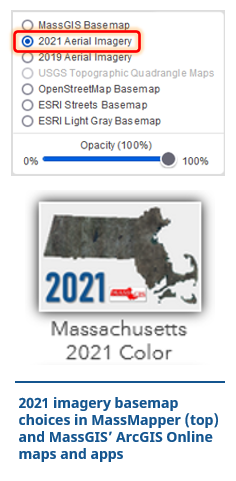 2021 imagery basemap choices