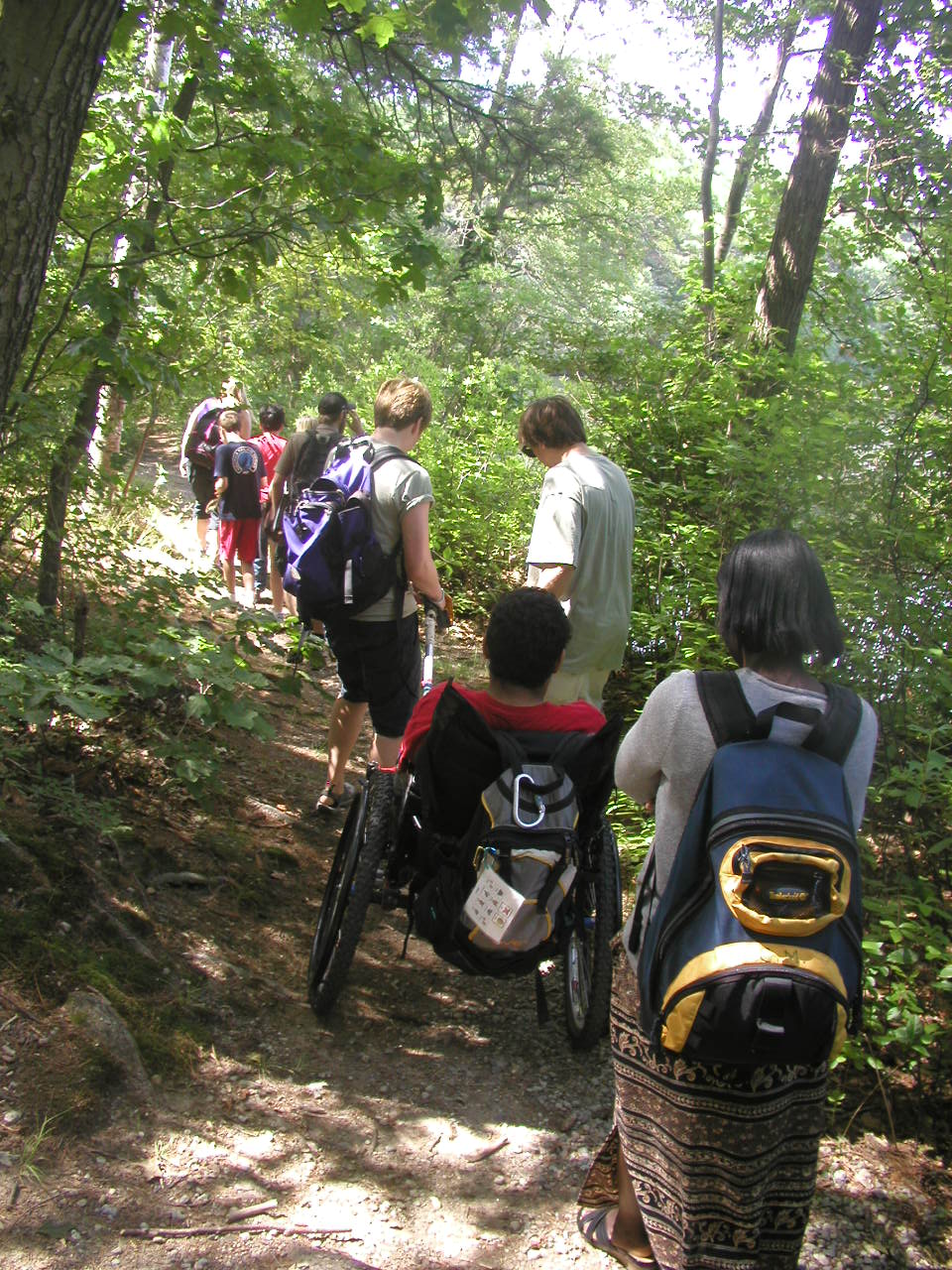 Hikers traveling on an accessible trail through the woods