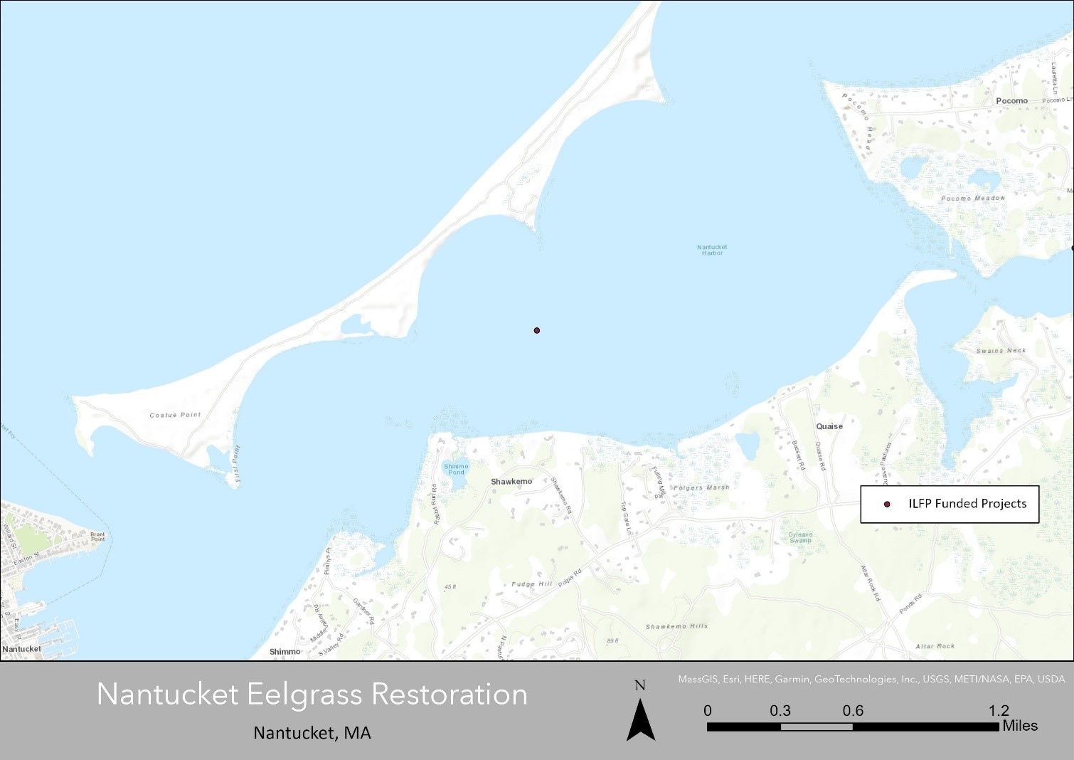 Location of Nantucket eelgrass ILF project.