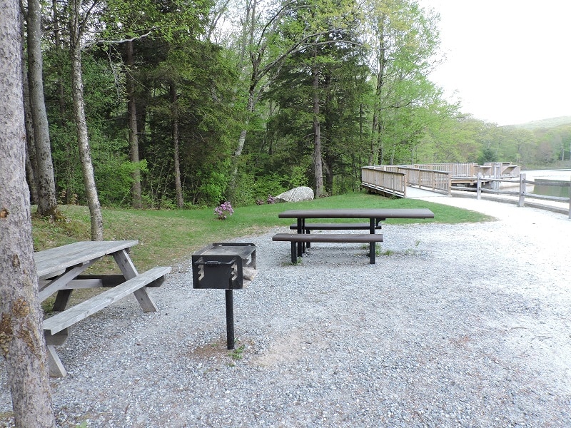 An accessible picnic table and pedestal grill on a stone dust area. A stone dust path leads to the fishing platform in the background.