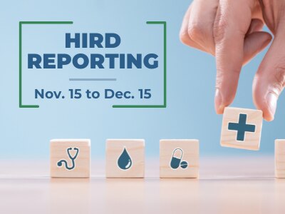 Hird reporting available from november 15th to december 15th