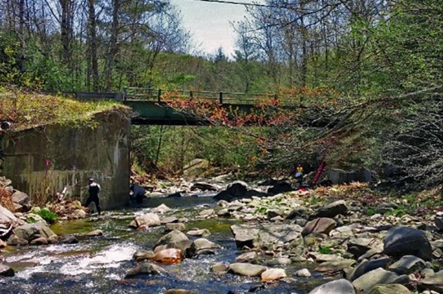 Streambed and bank restoration, Ireland Street Bridge over West Branch Bronson Brook (before), Chesterfield