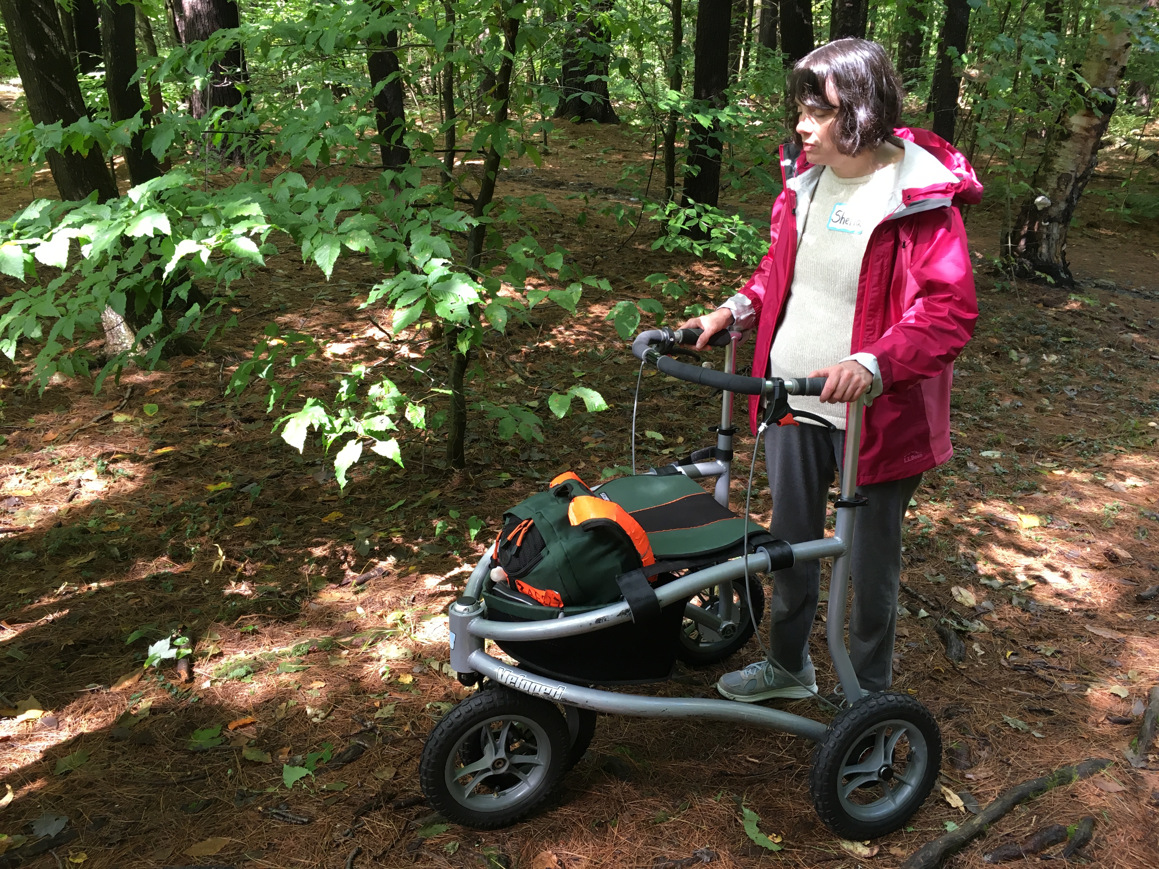 A hiker pushes a Veloped all-terrain walker through the woods.