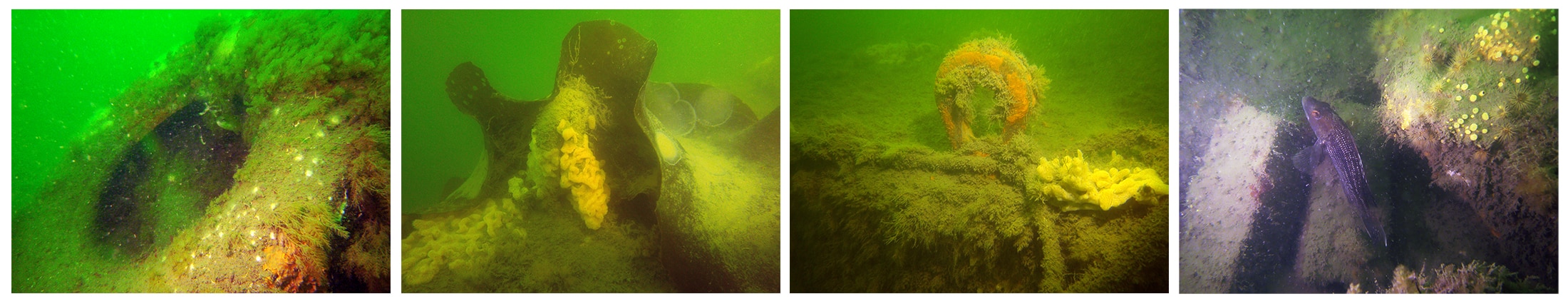 Examples of artificial reefs created in Dartmouth, Sculpin Ledge, and Yarmouth