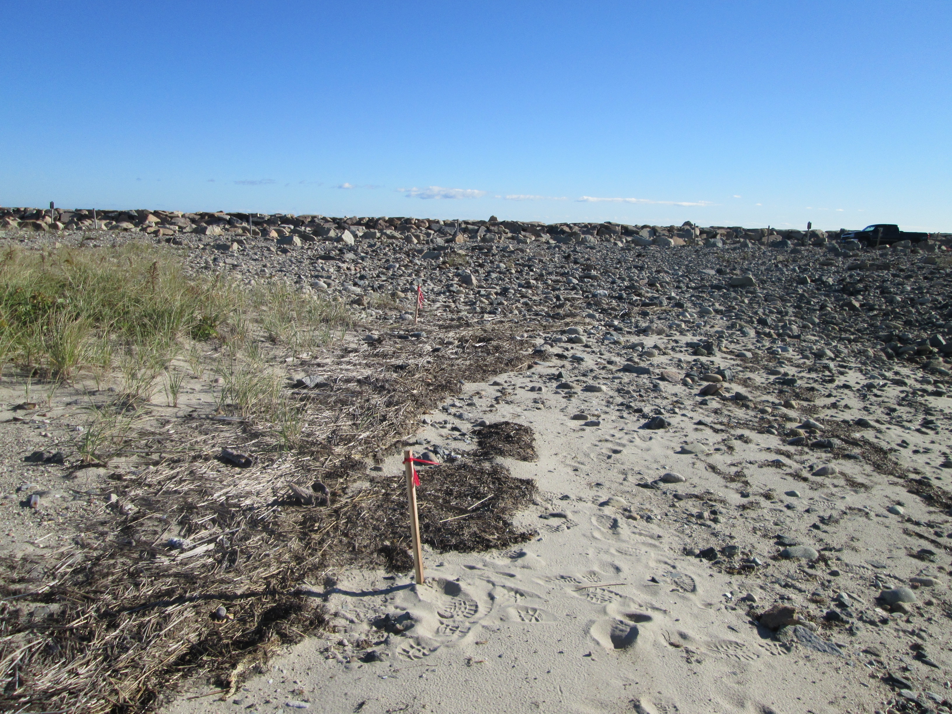 view of eroded dune area