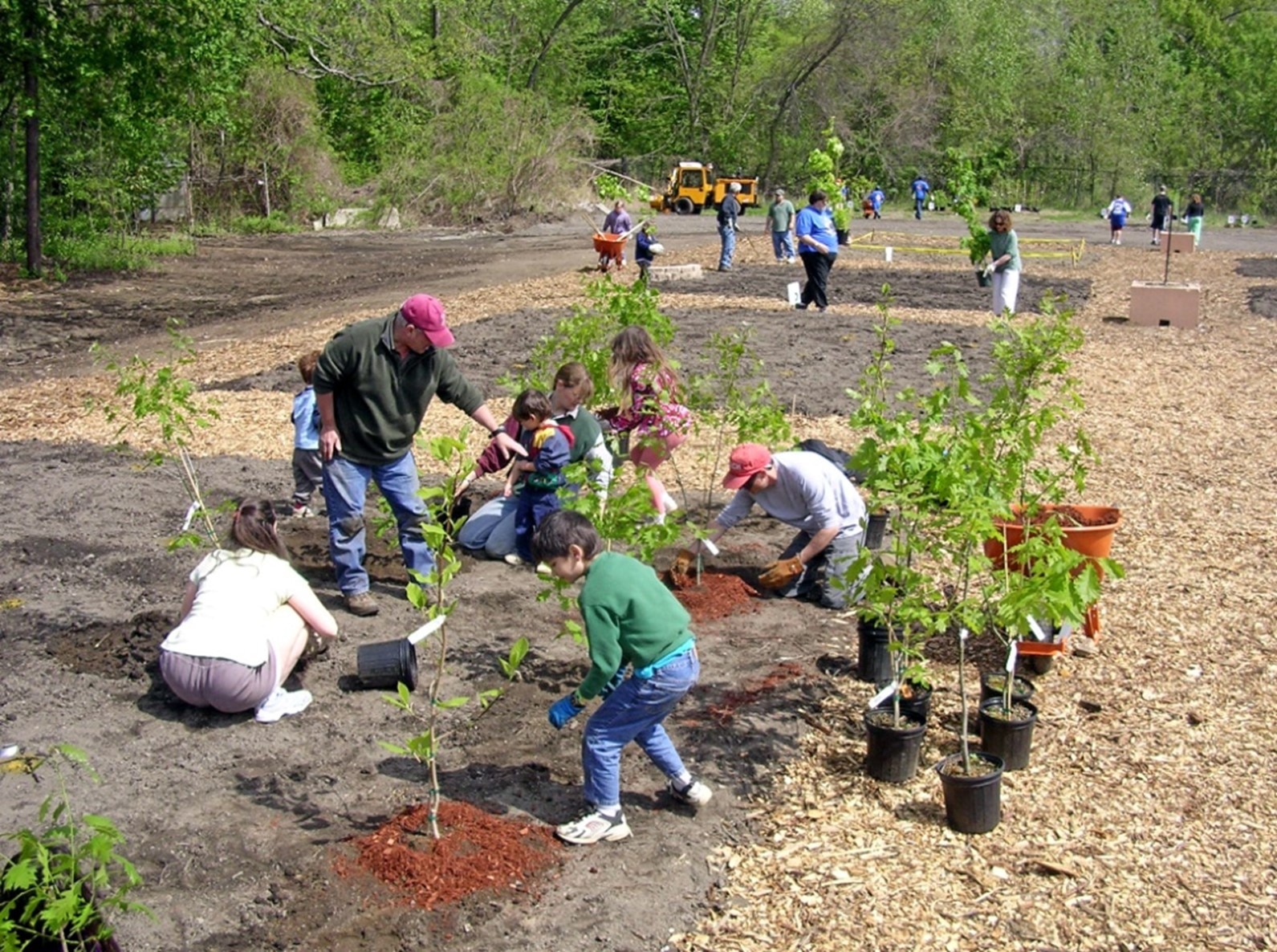 Volunteers planting a garden