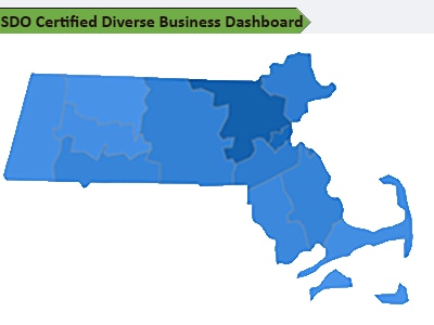 SDO Certified Diverse Business Dashboard