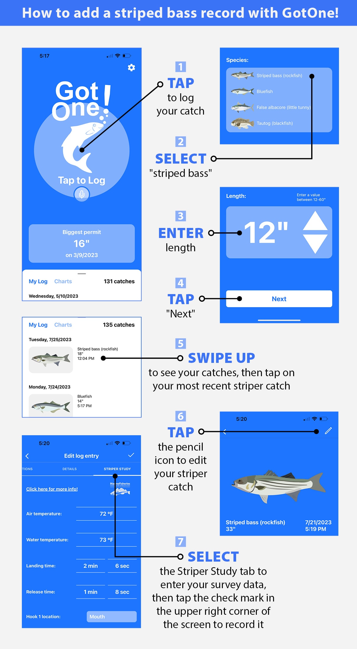 Infographic showing the steps to add a striped bass record with the GotOne fishing app.