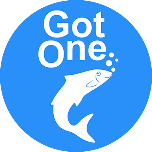 GotOne logo.