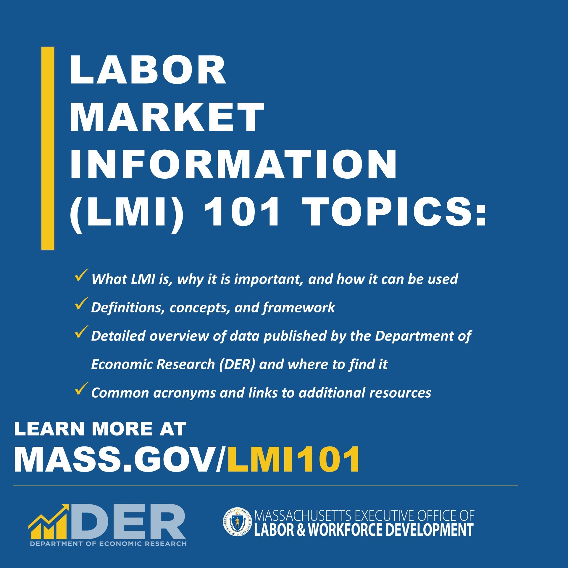 Overview promotional graphic for LMI 101