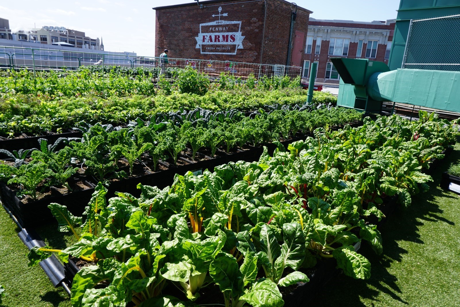 Division of food security mass gov