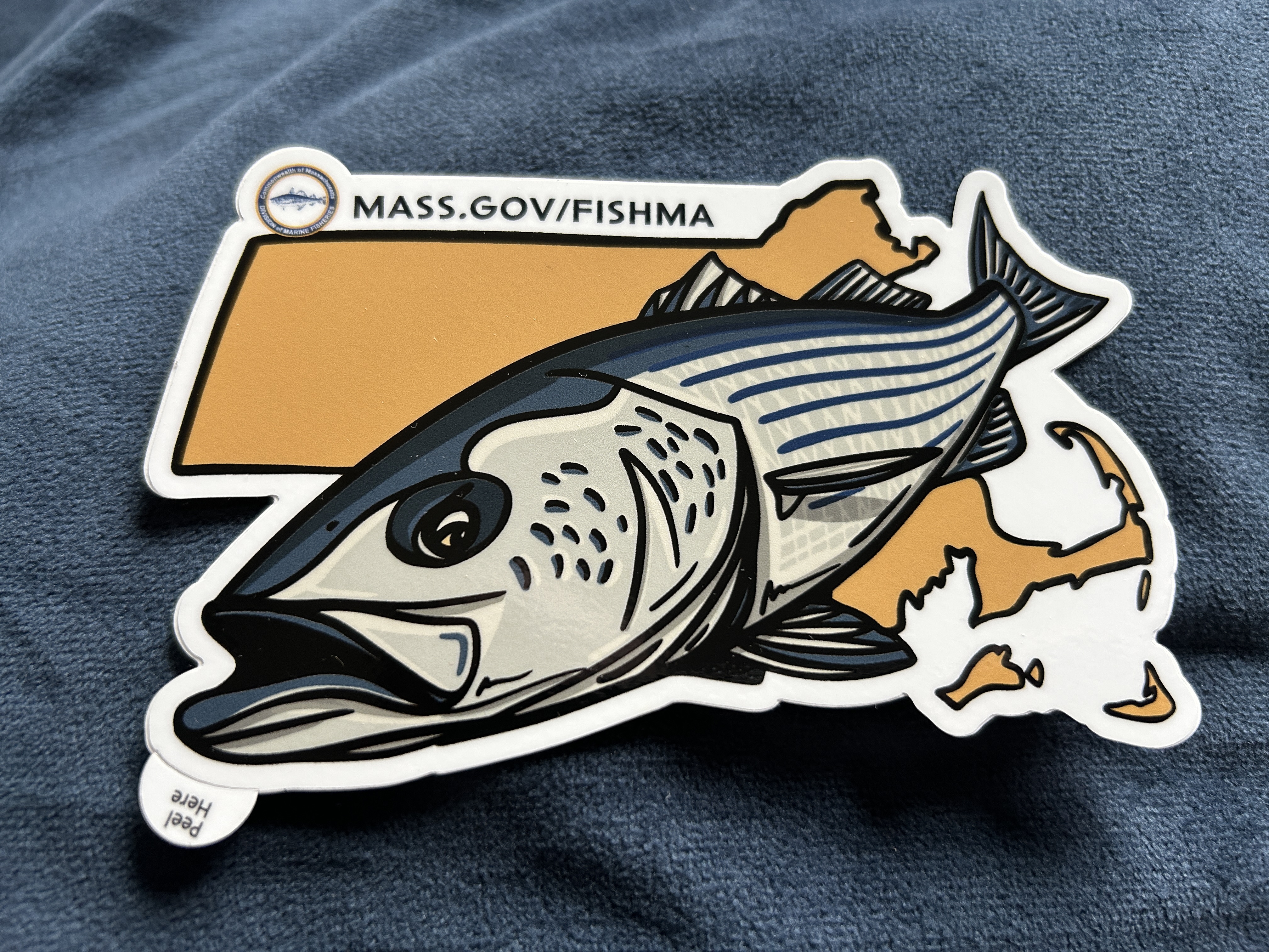 Celebrating Recreational Saltwater Fishing in Massachusetts | Mass.gov