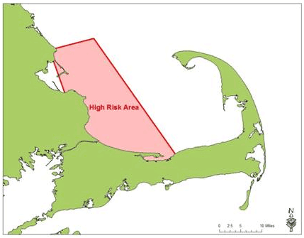 right whales in cape cod bay map