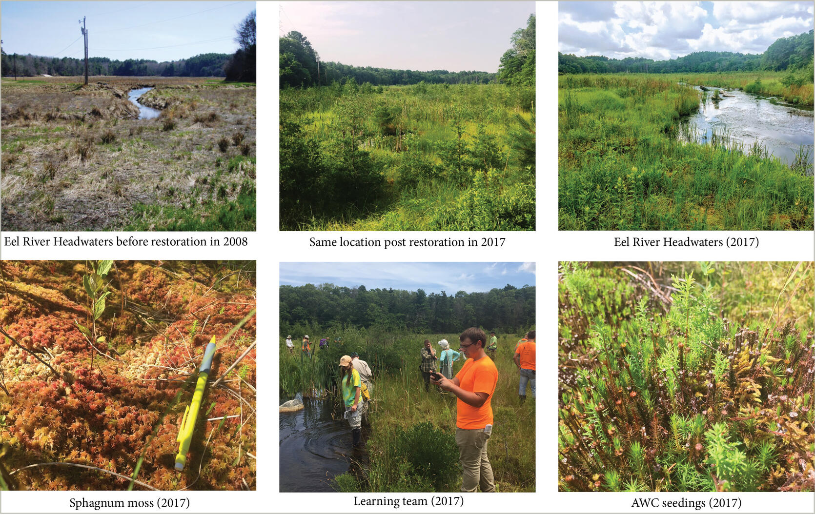 Six images showing the changes in Eel River before and after restoration