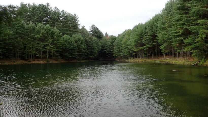 Hamant Brook