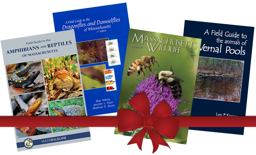 masswildlife gifts