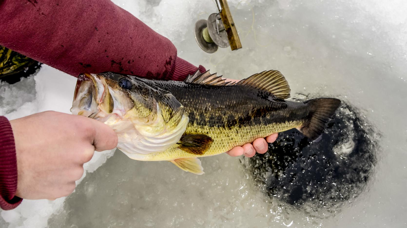 Ice fishing hole with bass