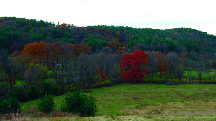 Habitat