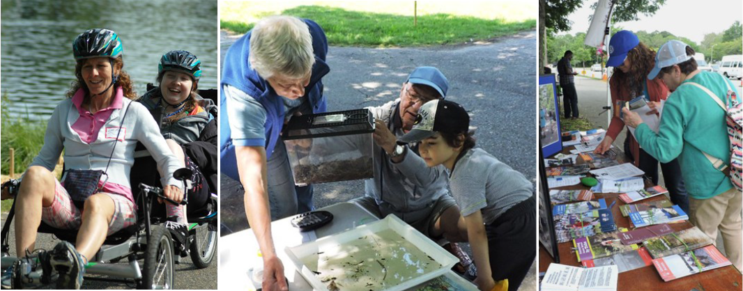 On the left, two cyclists ride on a recumbent tandem cycle with the Charles River behind them. In the center, a child and two adults look at a terrarium and a table with information. On the right, two people collect brochures about adaptive recreation opportunities.