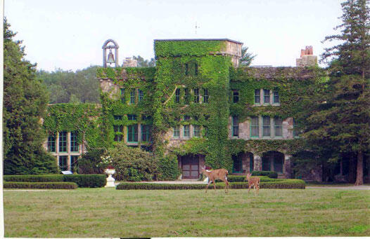 deer in front of borderland mansion