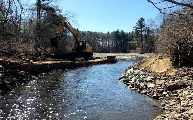 Cotley River after Barstowe’s Pond Dam removed.