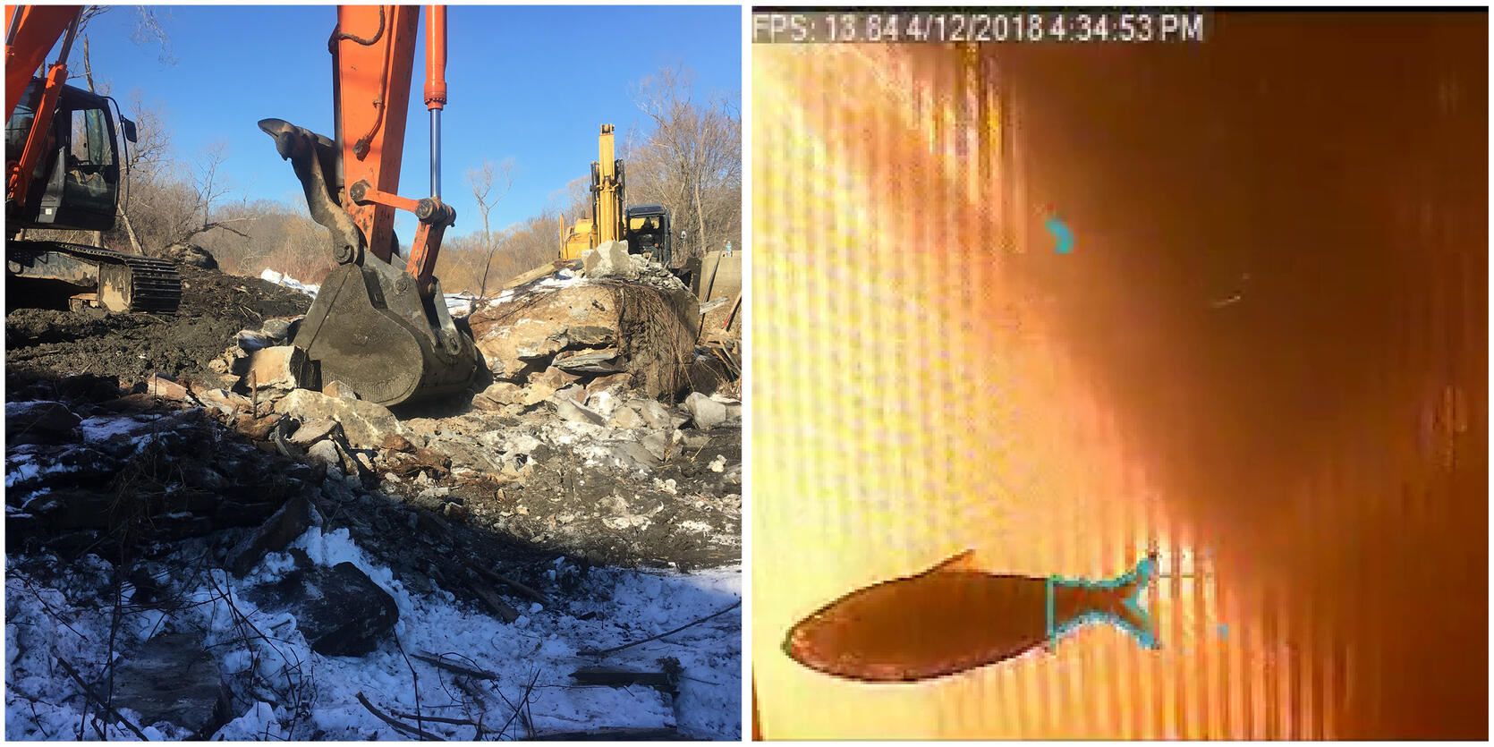 Two images one an excavator removing a dam, the other a river herring as captured by an underwater camera.