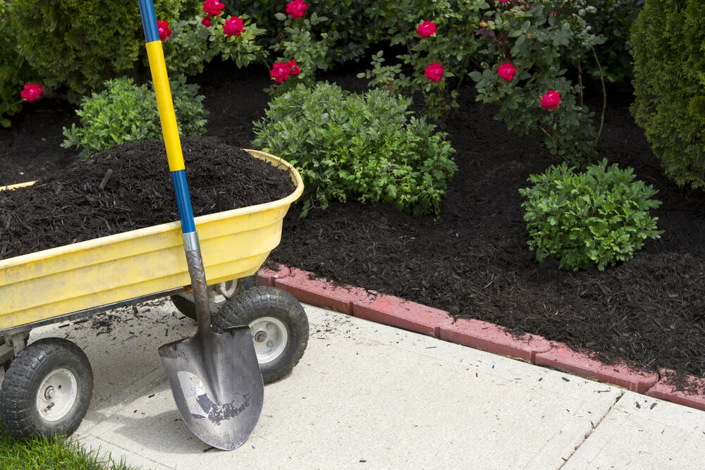 Mulch in planting bed with wheelbarrow and shovel
