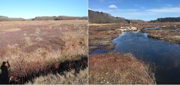 Restoration project before and after.