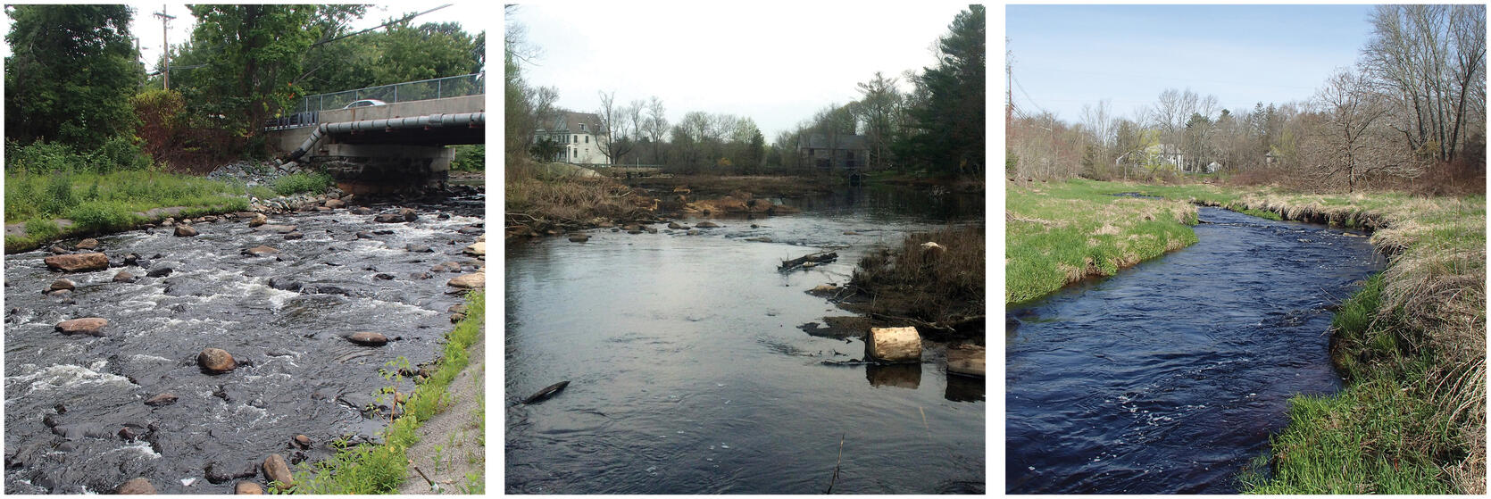 Images of the three different rivers after restoration