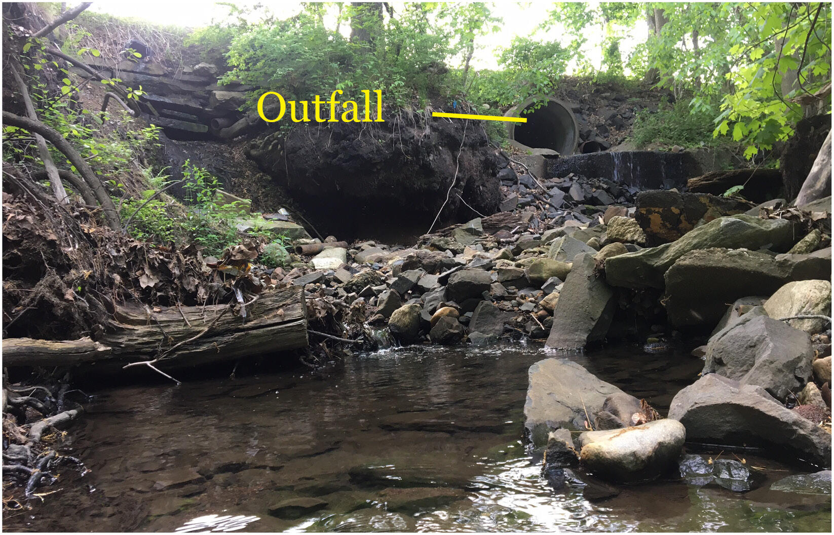 Highly incised channel of Fearing Brook