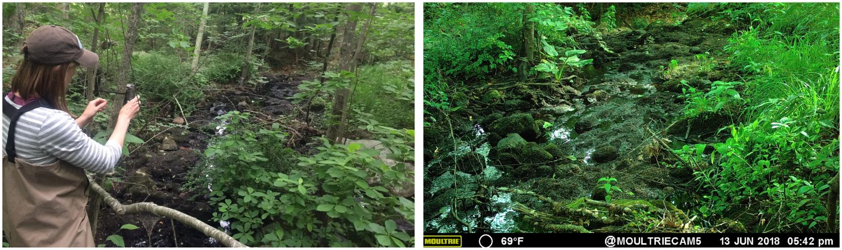 Two images one staff install timelapse devise, the second image capture on camera of site downstream 