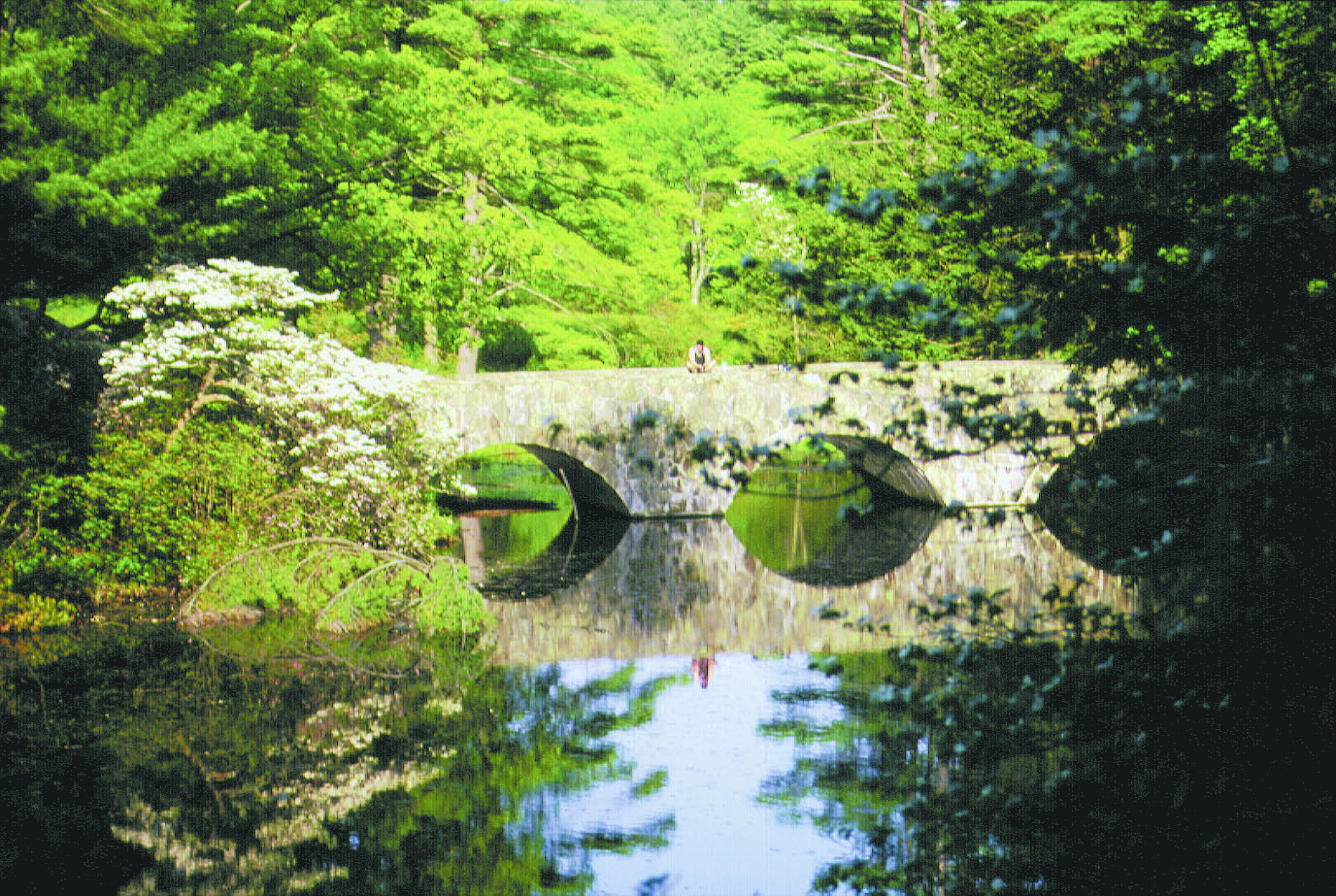 maudslay bridge