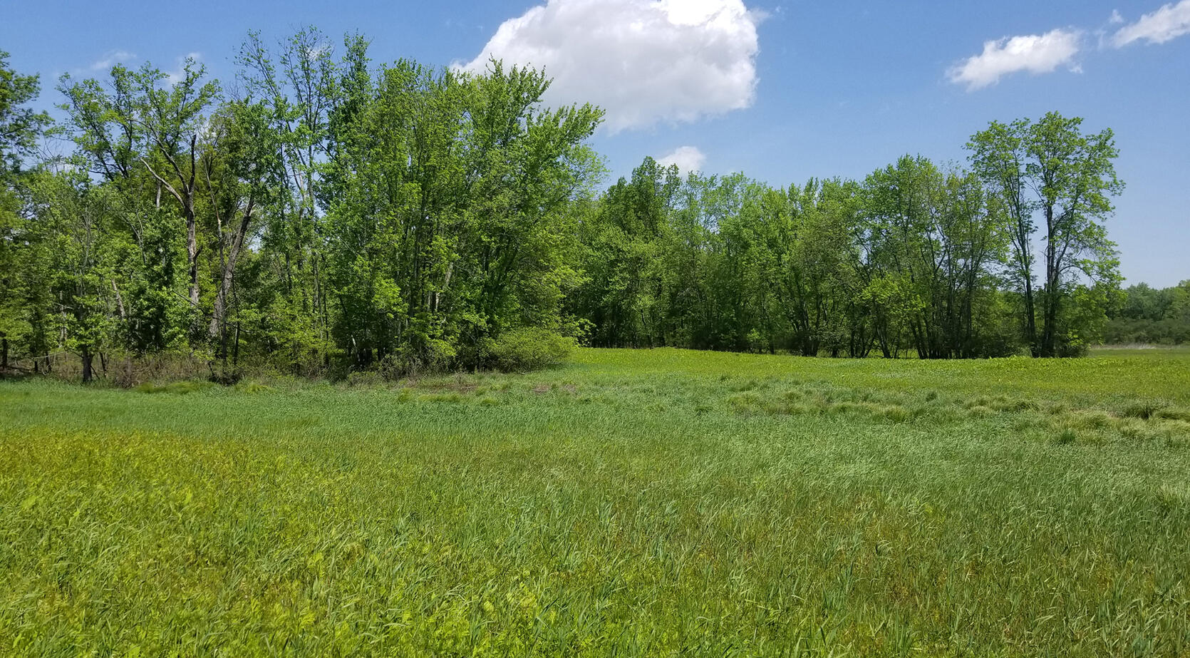 Manhan Meadows, Arcadia Wildlife Sanctuary