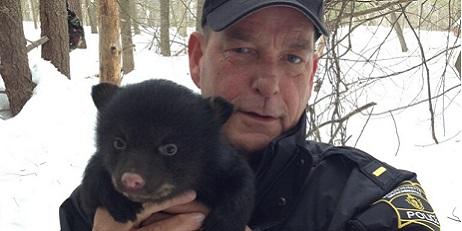 Environmental Police Officer holing black bear cub