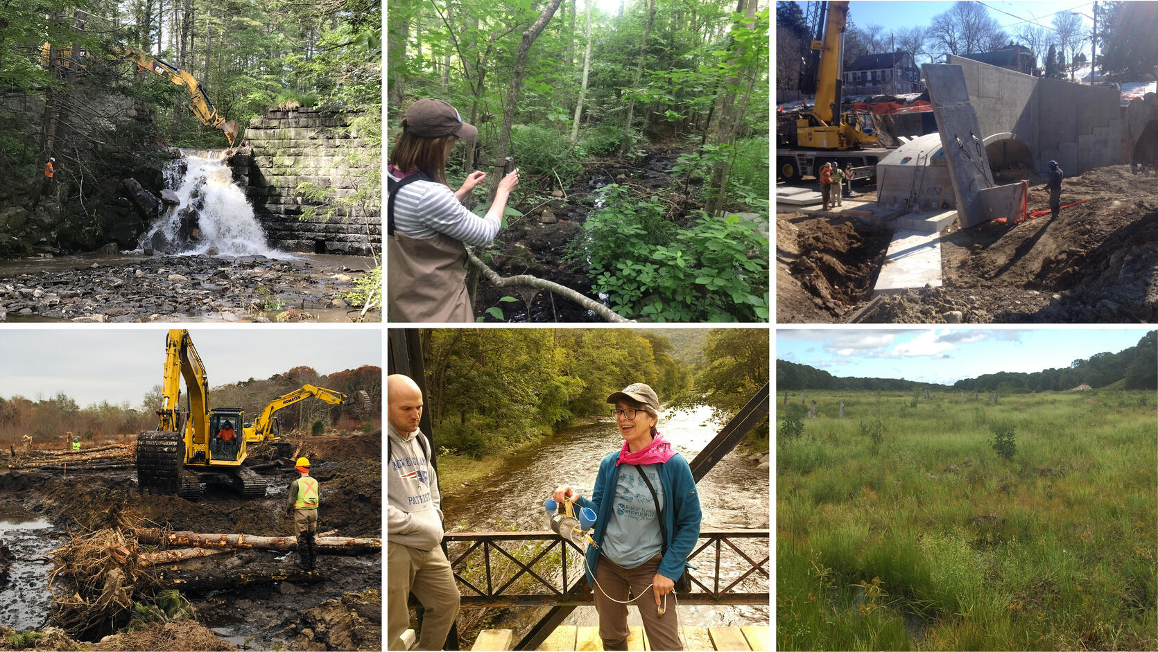 A variety of images showing restoration work in process