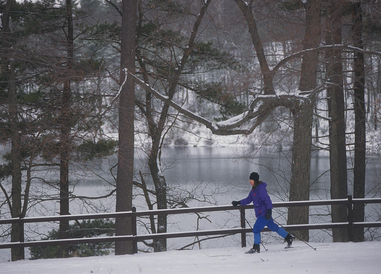 Walden Pond State Reservation Skier 